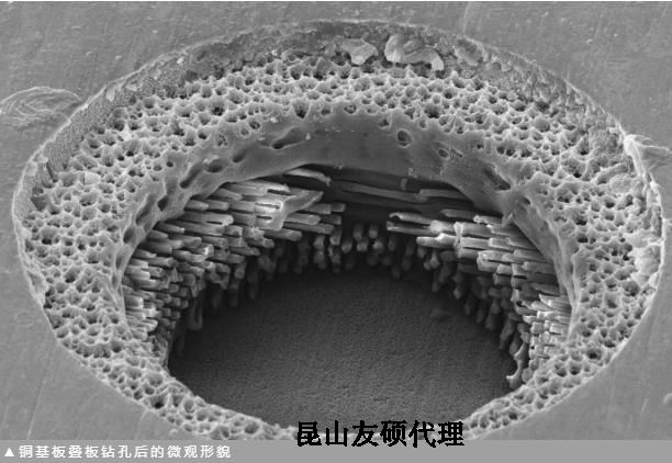 四平蔡司四平扫描电镜